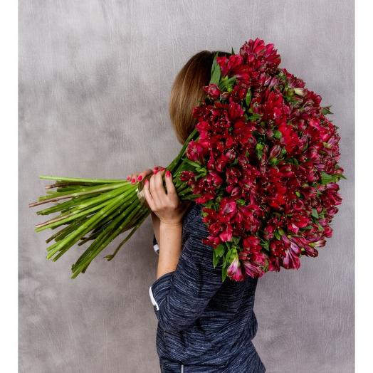 Ramo de 101 alstroemeria roja