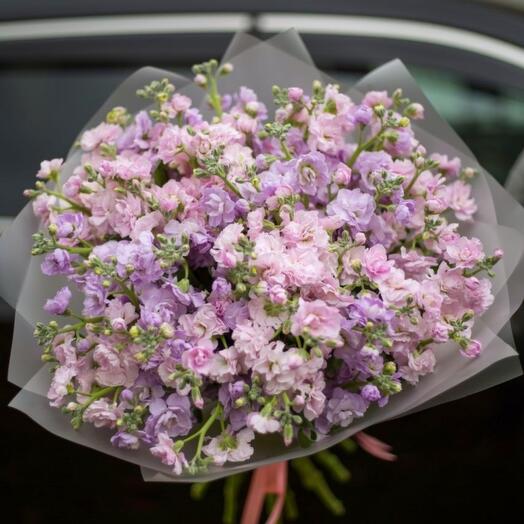 Bouquet fragrant Mattiola honey