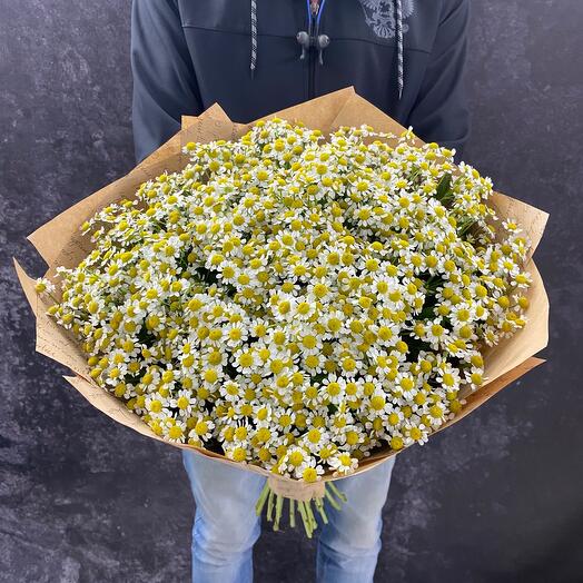 Букет из 51 кустовой ромашки в крафте
