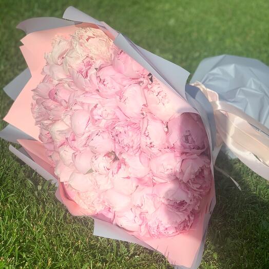Pion 💘 Sarah Bernhardt