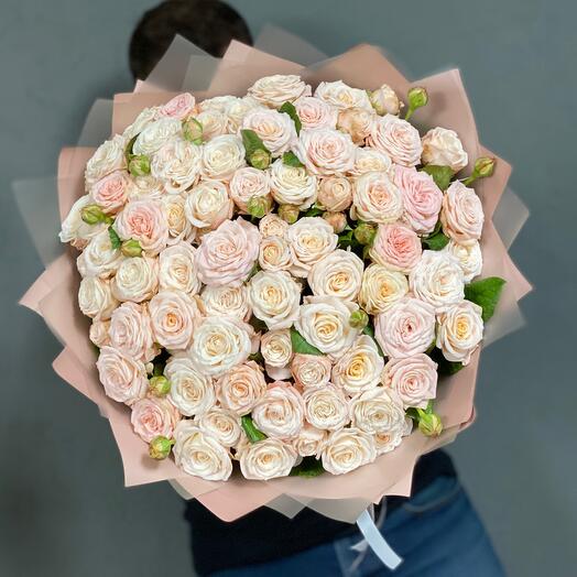 51 rosas arbustivas en forma de Peonía en un paquete de diseño