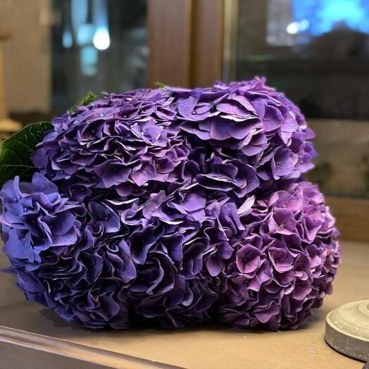 Фантазия