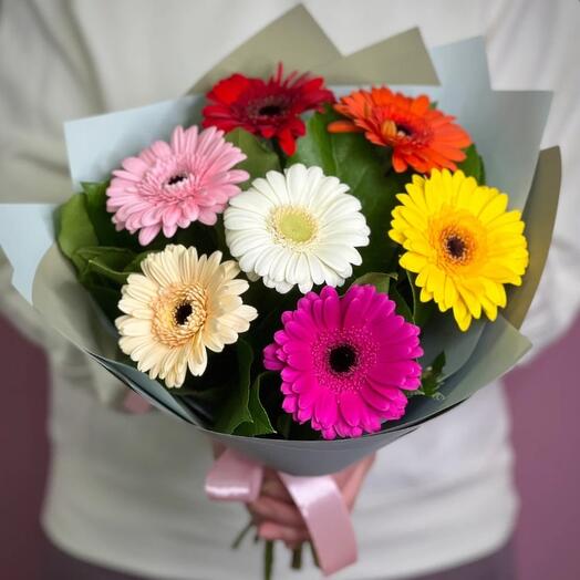 Gerbera