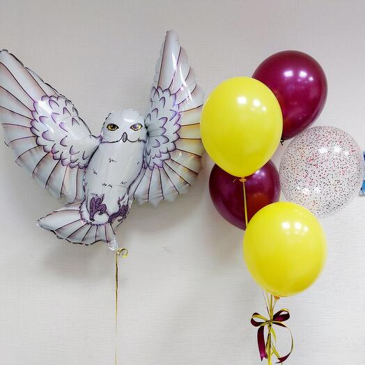 Hedwig mini