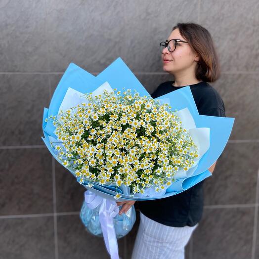 Ромашки🌸😊
