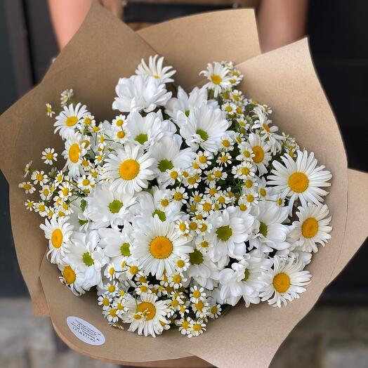 Bouquet of daisies