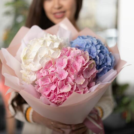 Букет с разноцветными гортензиями XS