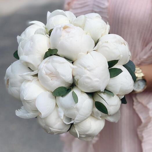 Albino