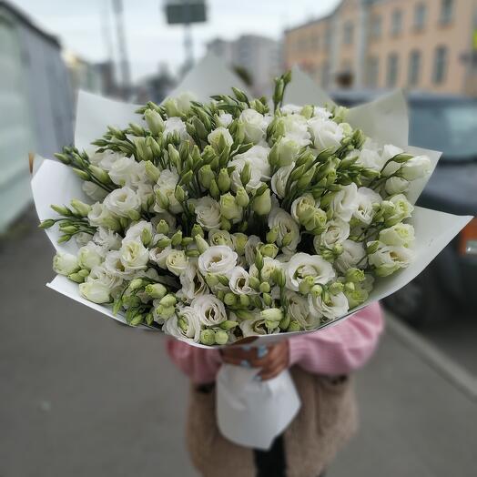 Eustoma bushy white