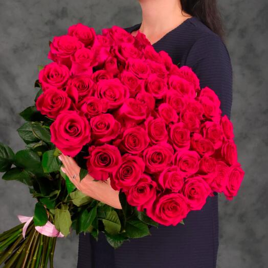 TOP 55 sexy roses