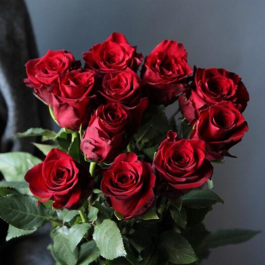 11 rosas Explorer