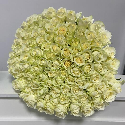 Bouquet of white roses