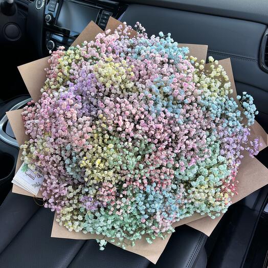 Bouquet of gypsophila rainbow 29pcs
