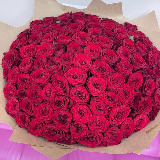 101 Roses of rednaome