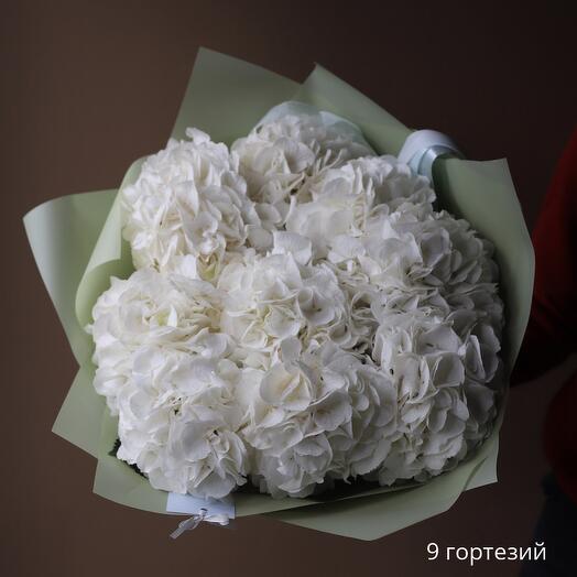 Букет из 9 белоснежных гортензий