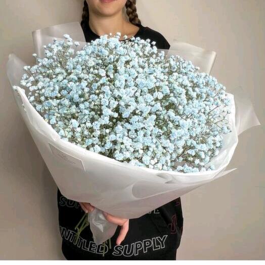 A pale blue cloud of gypsophila