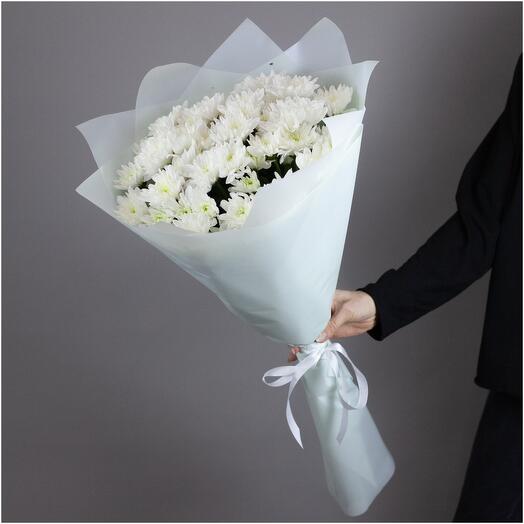 5 bush chrysanthemums