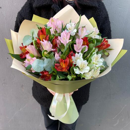 Alstroemeria