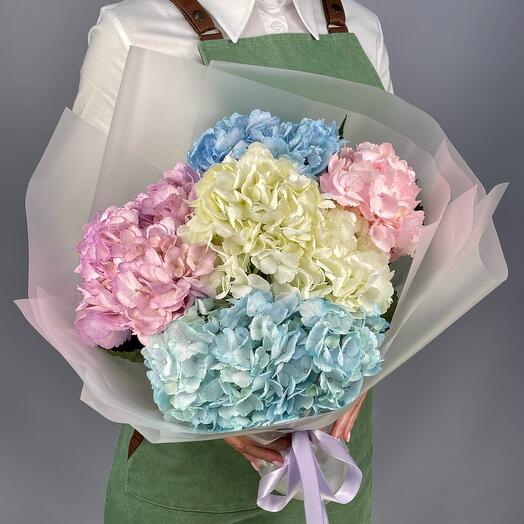 Bouquet of hydrangeas