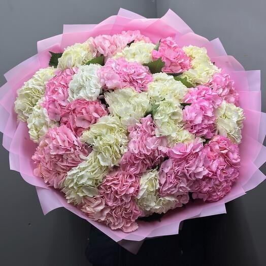 Hortensia rosa, blanco