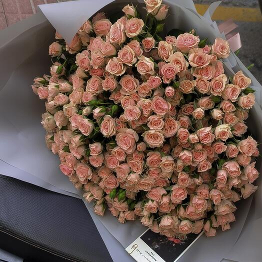 Rosa ramificada