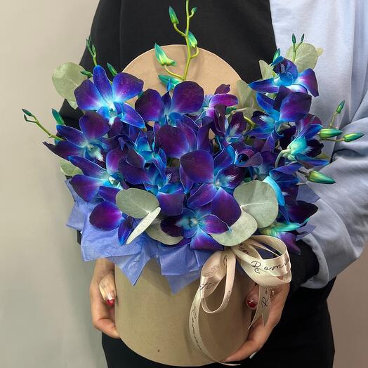 An unusual composition of Orchids "Galaxy"