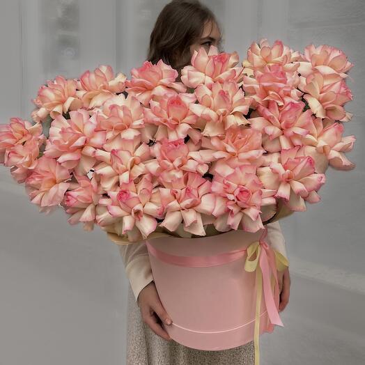 Rosas francesas en una Caja