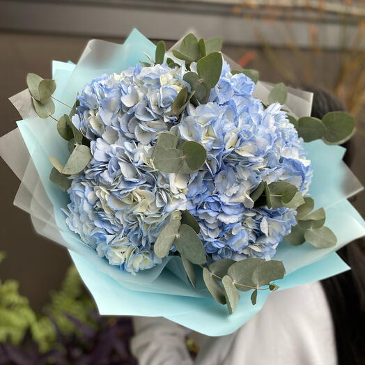 5 Голубых гортензий 💙
