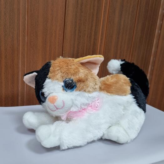 Кошка