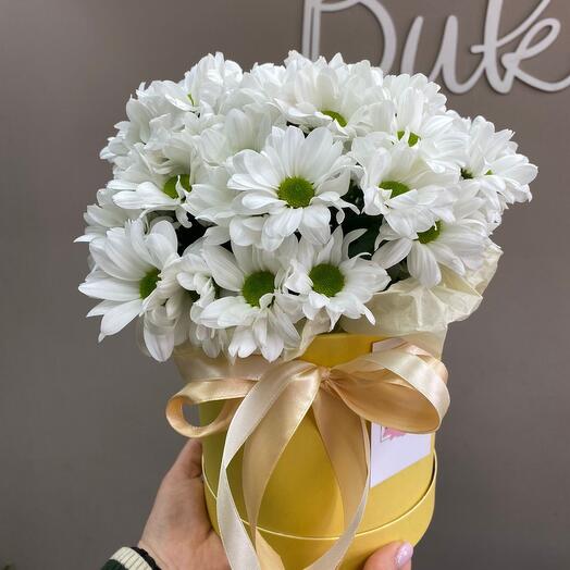 Flowers in a hatbox "Field of daisies"