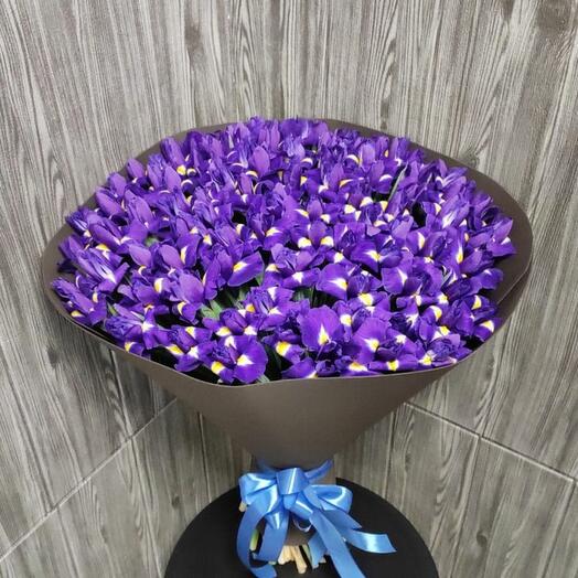 Ramo de 101 iris