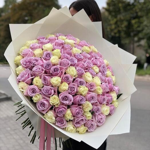 101 Lilac and White Rose