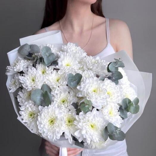 Chrysanthemum