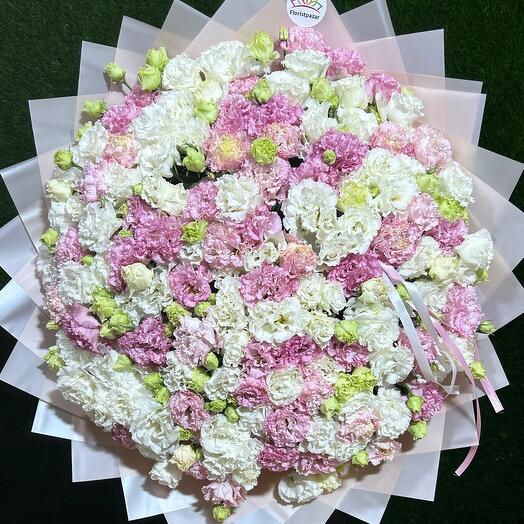 White and pink lisyanthus