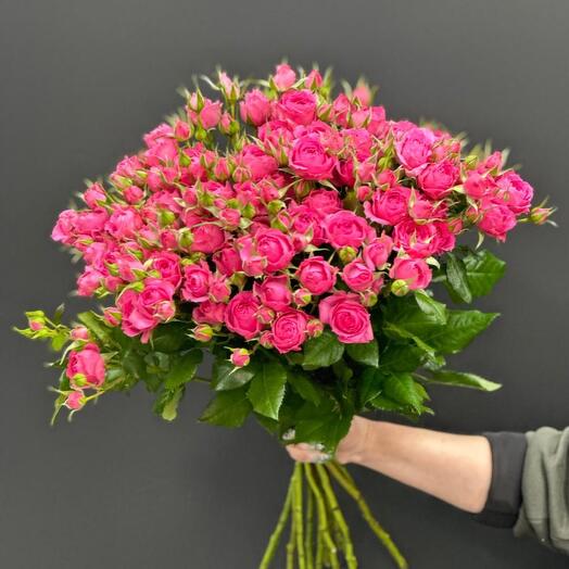 КУСТОВАЯ РОЗА 25