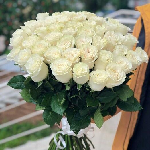 Rosas blancas