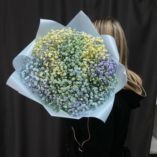 Bouquet of rainbow gypsophila