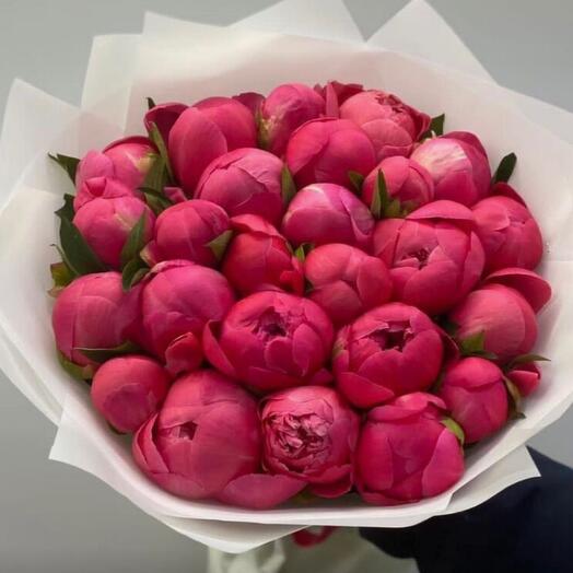 Bouquet of coral peonies 25 pieces