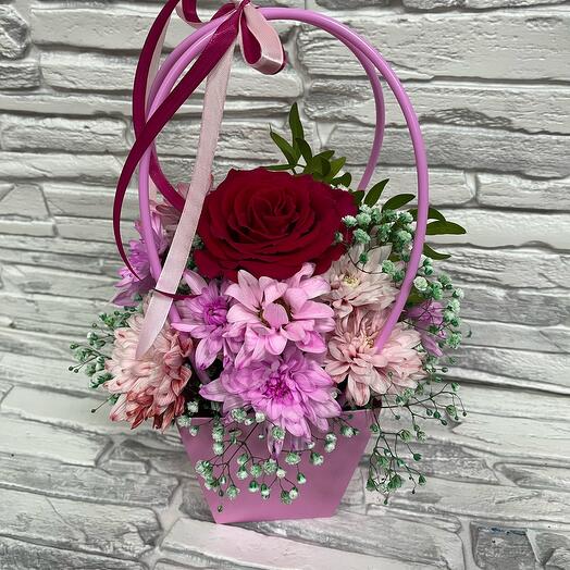The composition in the handbag