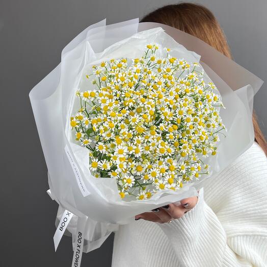 Daisies