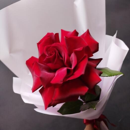 Большая французская роза