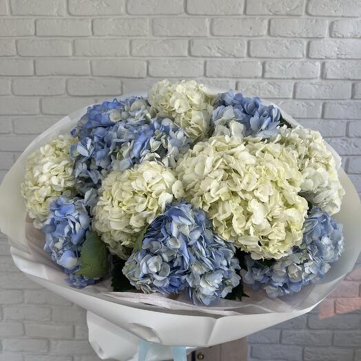 Воздушное облако