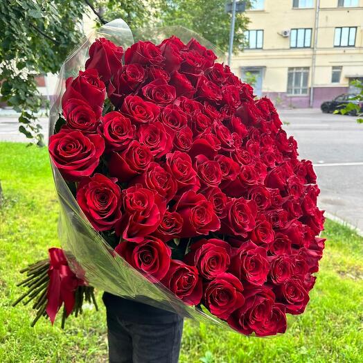 51 Роза красная 100 см Голландия