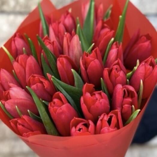 25 red tulips