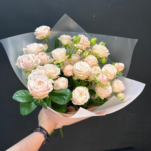 Miss Peony's Bushy Pink Roses