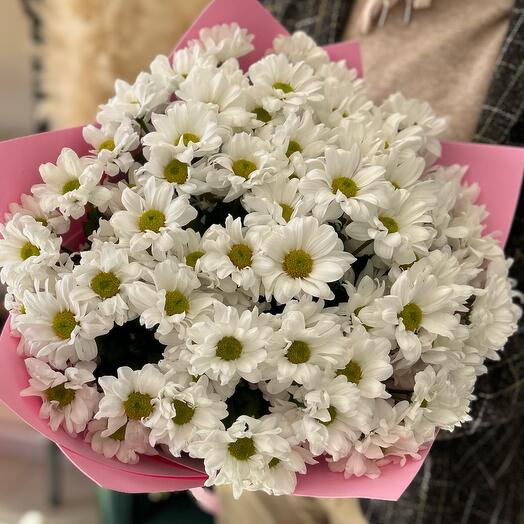 Букет из 11 белых кустовых хризантем