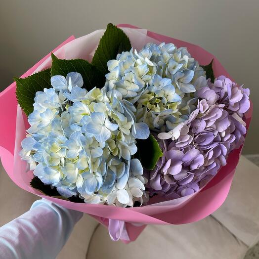 3 гортензии💙💜