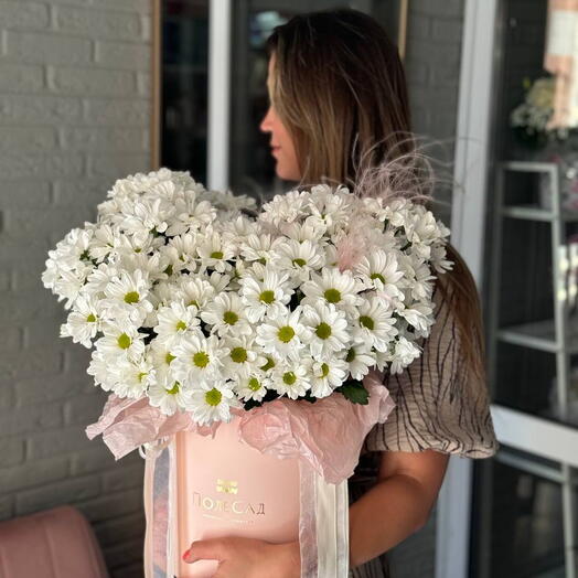 Шикарный бокс хризантем 🌸