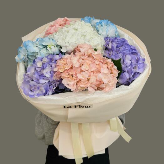 Гармония цвета