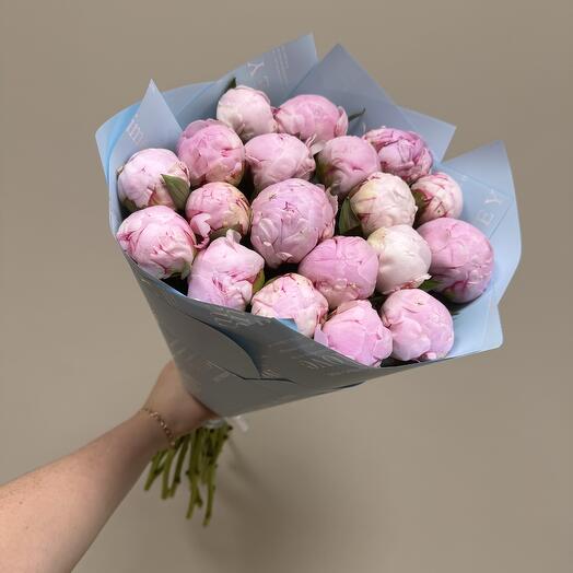 19 пионов Сара Бернар 💗💗💗